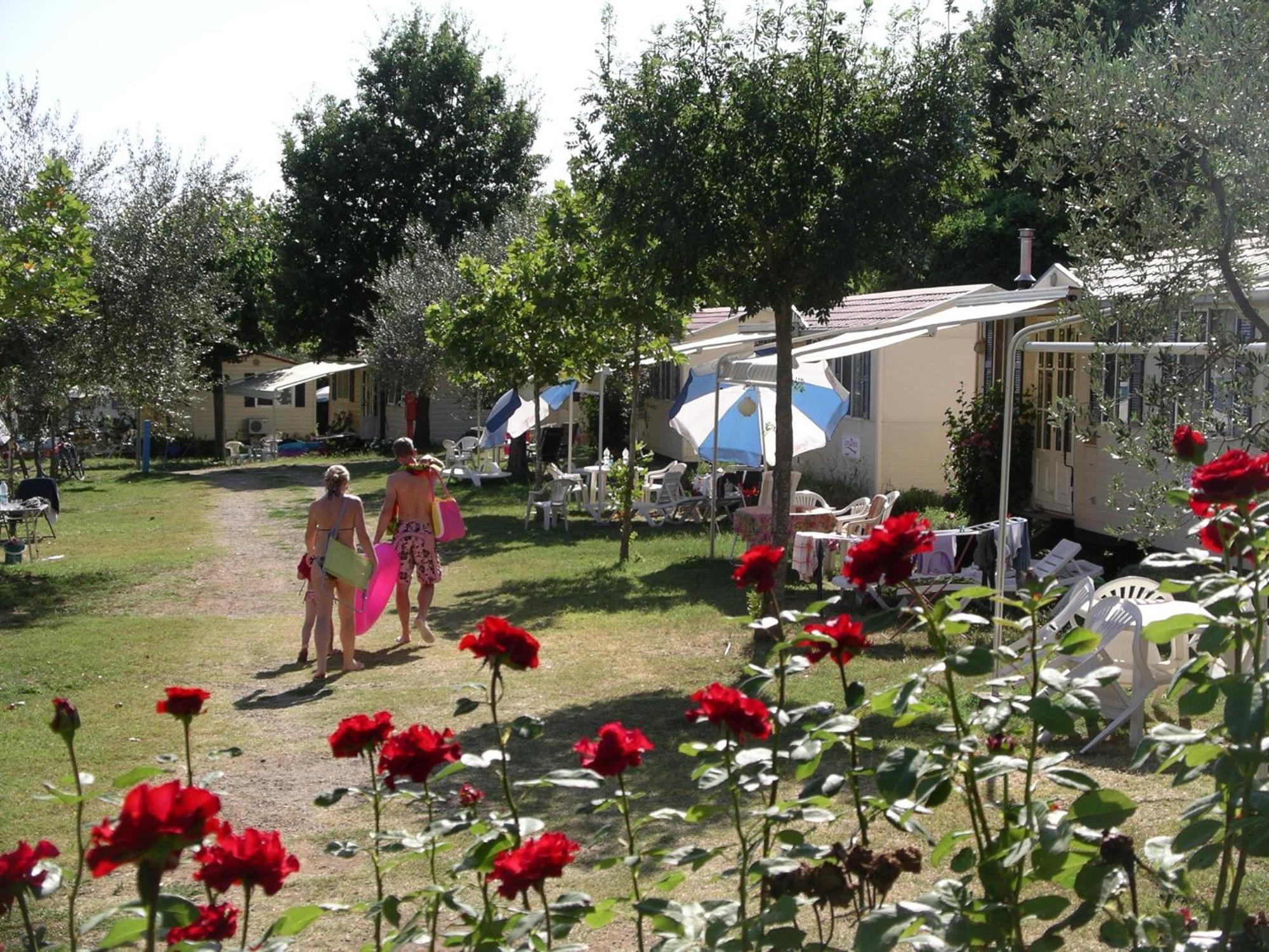 Blu International Camping Bolsena Bagian luar foto
